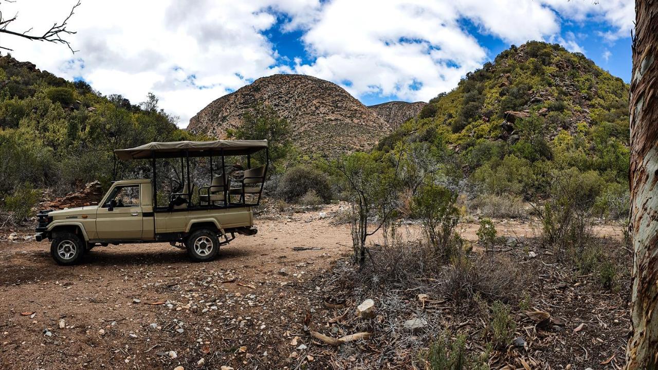 Rooiberg Wild Private Game Reserve Ladismith Kültér fotó